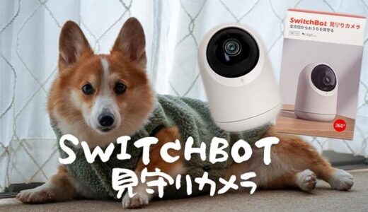 【SwitchBot 見守りカメラ レビュー】ペット用ならこれ！ 360°首振り、双方向通話もOK